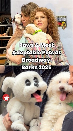 1.1K views · 638 reactions | Puppies! Kittens! Broadway Stars! Cuddles! Broadway Barks 2025 showcased the phenomenal adoptable pets from NYC area animal shelters and adoption agencies that need furever homes  Bernadette Peters and Beth Leavel hosted the 27th Annual event produced by BC/EFA in Shubert Alley with stars from the best of Broadway. Visit Broadway Barks for more info on how to rescue!  | Broadway.com | Facebook