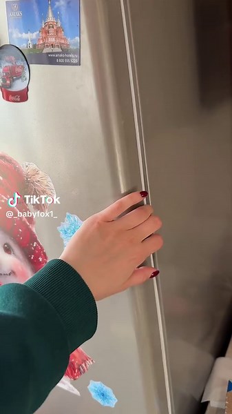 Beibi Fox: Adorable Baby Fox Moments