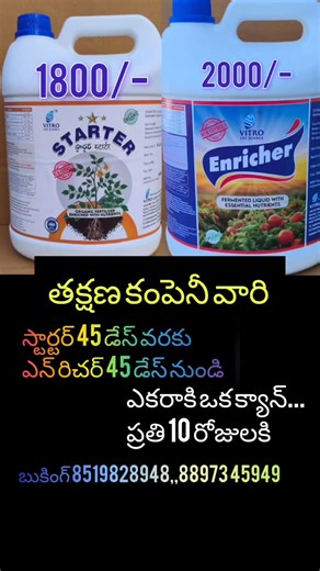 ANANDHI AGRICULTURE/ ANANDHI AGRI TRADERS on Instagram: "తిరునాళ్లకి సిద్ధం"