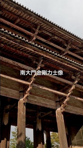 南大門（東大寺） 世界最大級の木造建築物 #shorts #shortsfeed #temple #todaiji #nara #国宝 #奈良