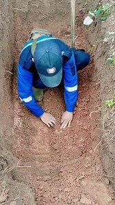 359K views · 3.2K reactions | Ada mahluk aneh d perkirakan ini sejenis hewan Alien yg terpendam d perut bumi | Gunawan Gunawan | Facebook