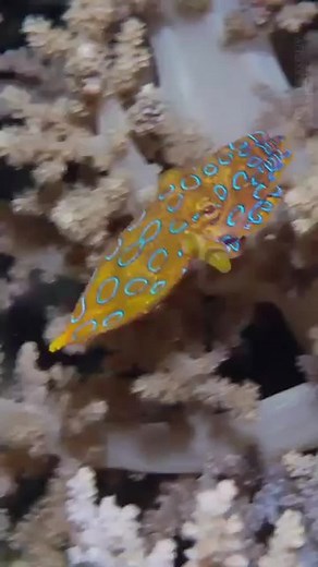 193K views · 8.5K reactions | Don’t be fooled by its beauty — the...