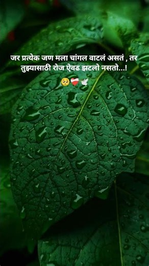तुझ्यासाठी झटलो नसतो...🥺❤️‍🩹 | marathi sd short 💔 | #love #marathi
