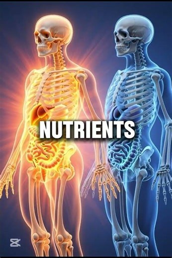 Hot Food vs Cold Food — What Your Gut Never Told You