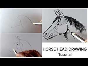 Horse Head Drawing Easy Tutorial