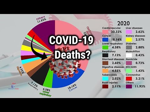 Cause of Deaths Worldwide by Share (1990-2020)