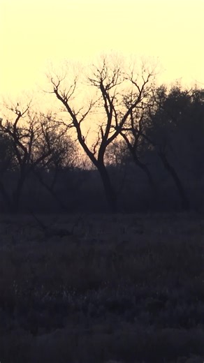 21K views · 307 reactions | Day 1 here in Oklahoma !! Here we GO!! | Small Town Hunting | Facebook