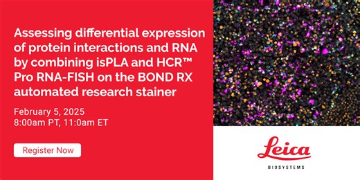 Assessing differential expression of protein interactions and RNA by combining isPLA and HCR™ Pro RNA-FISH on the BOND RX automated research stainer