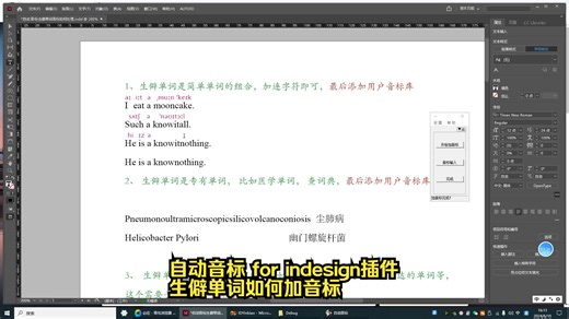 自动音标 for indesign插件，遇到生僻单词如何处理