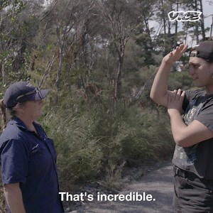 115K views · 523 reactions | We meet a woman offering eco-friendly funerals, and get a tour of a natural burial site. | VICE New Zealand | Facebook