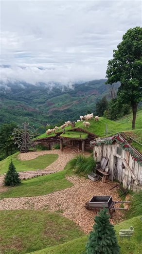 เที่ยวฟาร์มแกะที่ Akha FarmVille เชียงราย