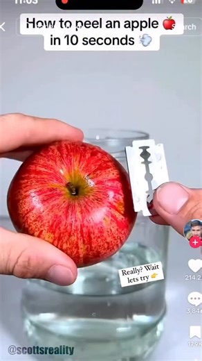 Tosin Samuel on Instagram: "We tried the viral Apple experiment! Throwback💃🏻 who remembers this?😂 And you shall know the truth, and the truth shall make you free." John 8:32 NKJV"