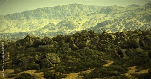Rocky outcrops and lush vegetation populate the foreground as a sprawling mountain range stretches across the horizon beneath a golden sun and soft sky.