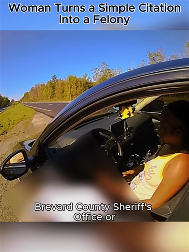 Woman Turns Citation into Felony: A Police Encounter