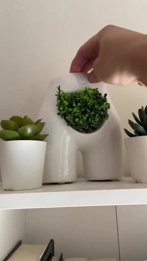 Transform Your Room with Bush Planters from Spencers