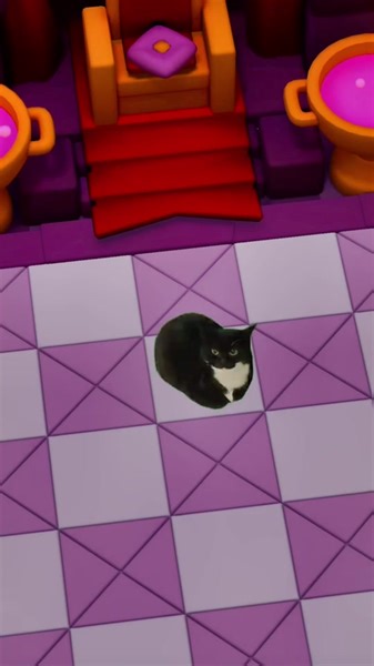 #maxwellthecat new mini in next update leaks 100% true no clickbaits