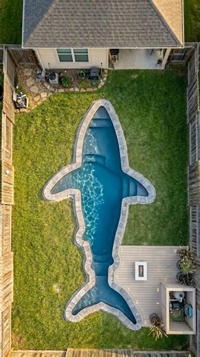 I Built a Giant SHARK Pool for My Family! 🦈#shorts