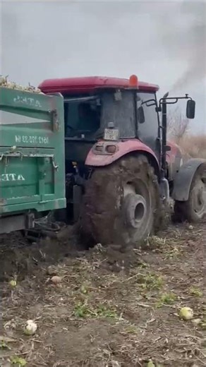 Giant Tractor Working in Huge Farm #HeavyMachinery #ModernFarming #FarmEquipment