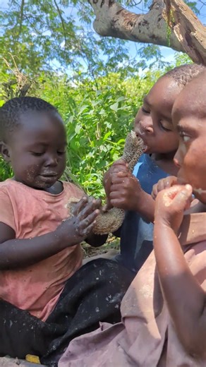 #food #hadzabepeople #africa 😜😜😜😜