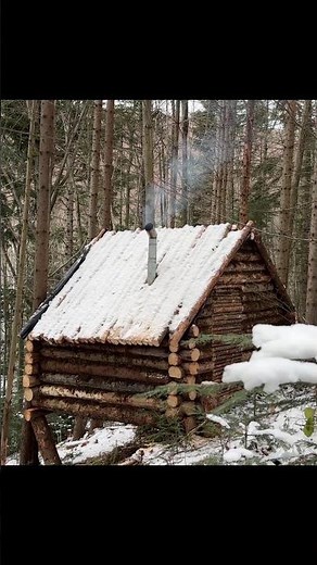 Building Log Cabin in the Woods from Wind-Fallen Trees FULL VIDEO ON MY CHANNEL #bushcraft #survival