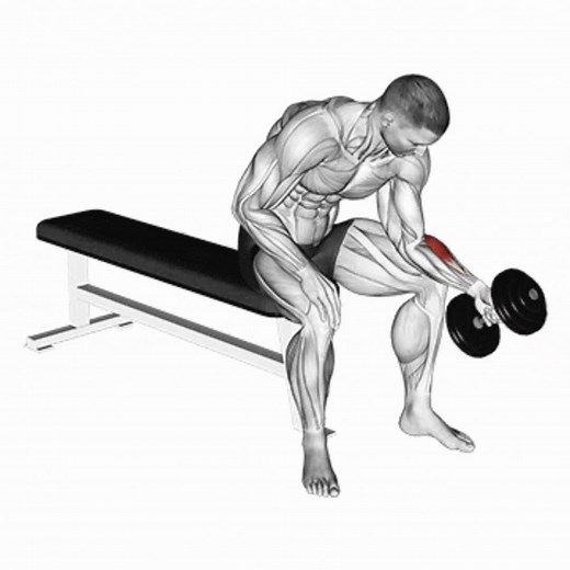 Flexão de Punho com Halter: Guia Completo para Antebraço