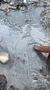 50K views · 522 reactions | gold prospecting for beginner | Linda Gold Mining | Facebook