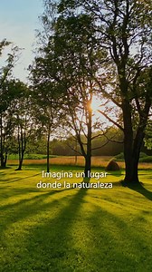 🌿🏡 Conoce The Village 🌅✨ Un refugio exclusivo dentro de Country Lakes, donde la serenidad de la naturaleza se fusiona con el confort del hogar 🏞️💛 Este desarrollo único ofrece: 🌊 Lago contemplativo con muelle 🏡 Casa club con alberca tipo resort 🎾 Canchas de pádel 🏃🏻‍♂️ Jogging track de 2 km 🌳 Parques y áreas verdes Diseñado para quienes buscan paz, seguridad y vida en comunidad, con un enfoque sustentable y armonioso 🌿✨ 📲 Conoce más sobre este proyecto: 999 550 4752 - 🌿🏡 Discover