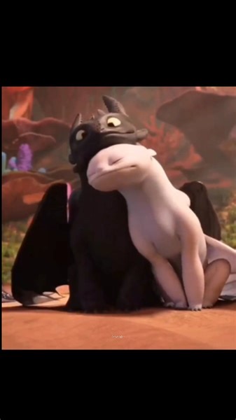 ♡ on Instagram: "toothless and light fury🖤🤍 #howtotrainyourdragon #dragon #toothless #lightfury #toothlessthedragon #toothlesslightfury #love #couplegoals #couples #couple"