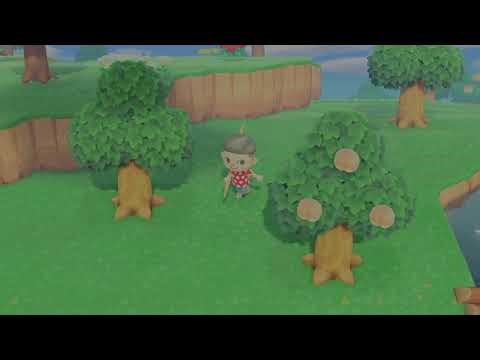 Animal Crossing: New Horizons: Part 20 (Switch 2)