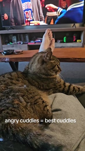 Angry Cuddles: Meet Oscar the Cat