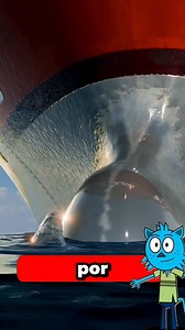 Por qué a las focas les encanta sentarse en la proa de los barcos #facts #mindblown #interestingfacts #animation | Tío Neurona