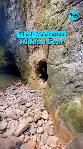 #CTDiscovery Hidden Waterfall Of Maharastra! 📍Milky Bar Waterfall, Maharastra Milky Bar Waterfall is hidden in the Jungles of Tamhini Ghat. The most popular attraction of Tamhini Ghat is the enchanting Tamhini Waterfalls. Also known as the Valse, these waterfalls cascade down a significant height and form a pool at the base. Other than trekking, sightseeing and picnicking, tourists also enjoy swimming in the water or simply an occasional dip. Video Credit @mytravel_things ❤️ Follow @curly.tales