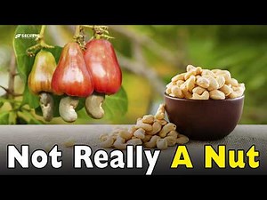 What Cashews Really Are: The Strange Seed With a Poisonous Shell