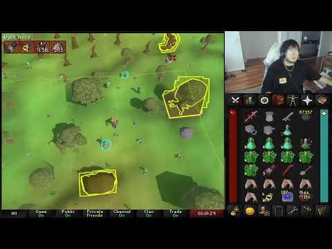 OSRS MAXING IN 40 DAYS IN GAME TIME