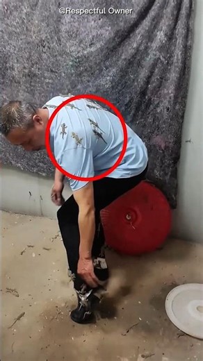 The Chinese breed lizards in large quantities. #shortsvideo