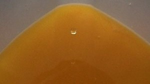 Watch CSI: Miami Season 1 Episode 15 - Dead Woman Walking