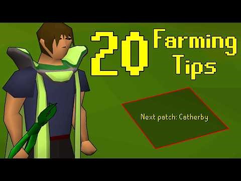 20 Farming tips every OSRS player needs to know