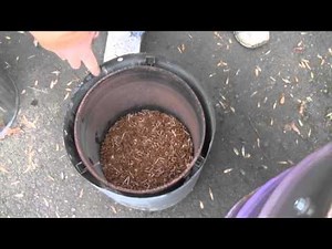 Aprovecho Gasifier Stove