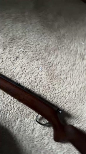 Stevan’s savage arms model 15-A single shot bolt action