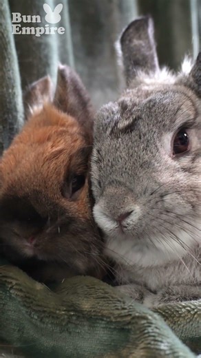 Cuddling Up