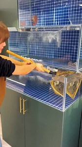 Eat delicious Seafood part313 #foodie #cooking #yummyyummy | Life Cooking TV