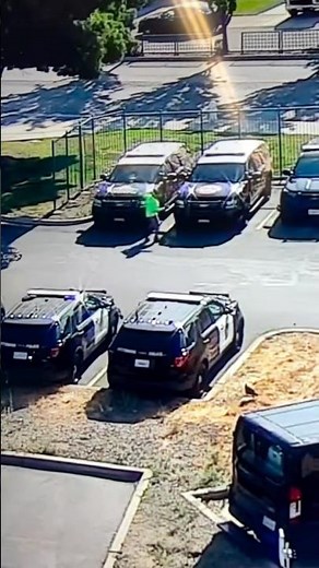 Police searching for man caught on video smashing police vehicle windshields