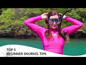 Top 5 Beginner Snorkel Tips