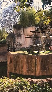 Sunny and 70 degree days at the Zoo ☀️😍 | Fort Worth Zoo