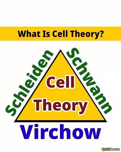 What Is Cell Theory? | Quick Learn #shorts #biology