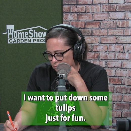 Want to plant Tulips? Get them in the refrigerator and they’ll be ready to plant between Christmas and New Years. I want to put down some tulips just for fun. Yeah. Do I really need to inoculate them? No. You need to refrigerate them. | HomeShow Garden Pros Radio | Facebook