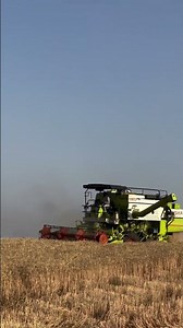 Vishal 435 Brisk Plus in Wheat Field | Vishal 435 Combine Harvester Working Video 2026