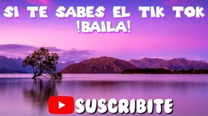 Si te sabes el tik tok baila-bailes de tik tok 2020 | TIK TOK VÍDEOS