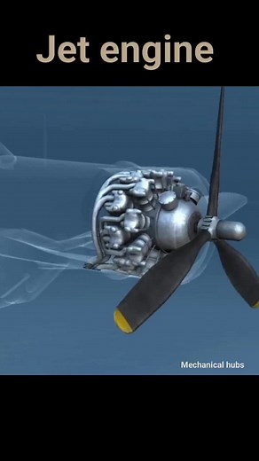 pan shop Phạm Gia trên TikTok