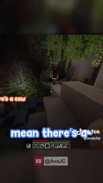 Minecraft Lifesteal Gameplay Highlights